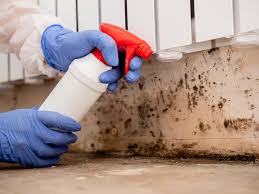  Massanetta Springs, VA Mold Remediation Pros